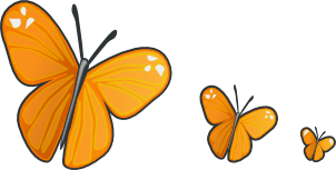 butterfly